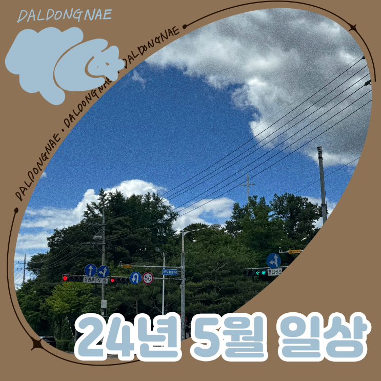  24년 5월을 마치며 쓰는 일상 일기