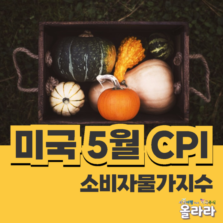  미국 5월 CPI 지수 예상 발표 근원 금리 동결 인하