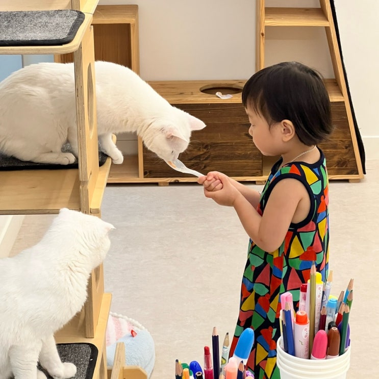 50만 <b>유튜버</b> 고양이 산책의 "고양이 카페 레오" 아이와... 