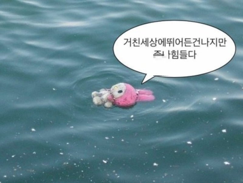 부산북부면허시험장 도로주행 코스 합격꿀팁/시험 후기/운전면허취득 총비용