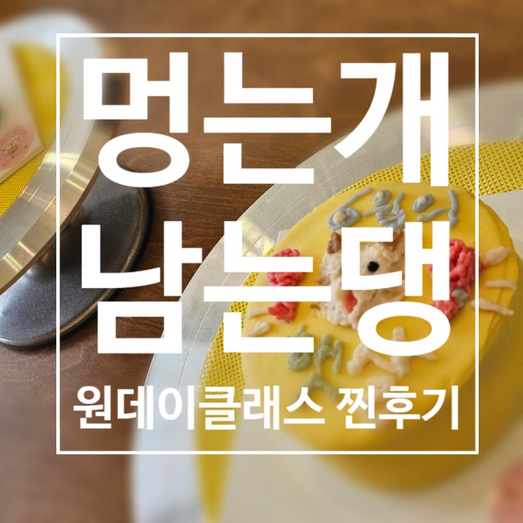  남위례역 멍는개남는댕에서 만든 강아지 수제케이크