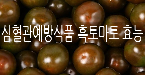  심혈관예방식품 흑토마토효능 토마토올바른보관법 고르는법 흑토마토청 조림 레시피 & 좋은올리브오일고르는법 가짜올리브오일브랜드 삶은토마토와올리브오일의시너지효과 추천