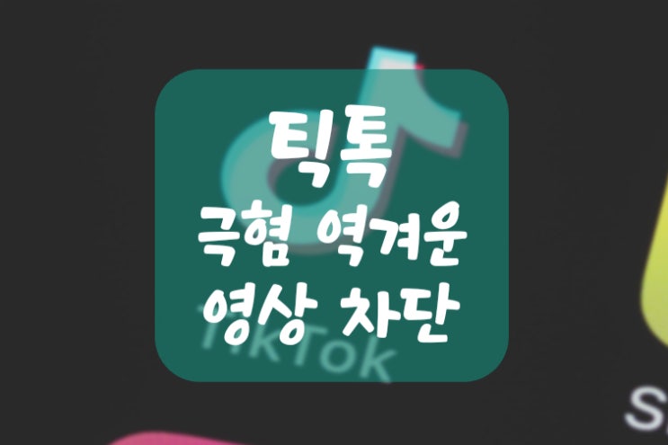  틱톡 역겨운 혐오 극혐 영상 차단하는 법