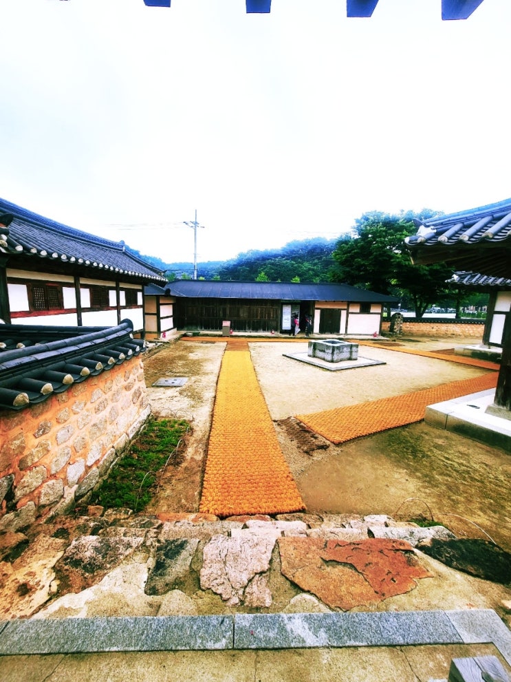 옥천 <b>육영수</b>여사 생가