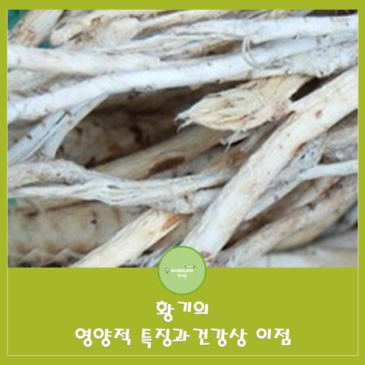  황기의 영양적 특징과 건강상 이점 알아보기