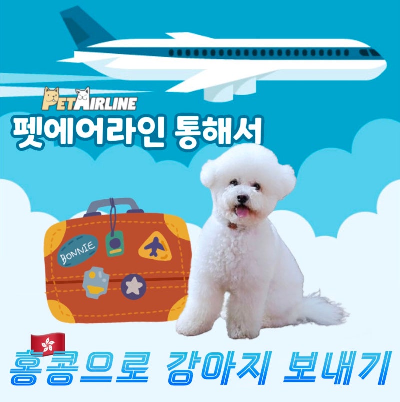 사진 6