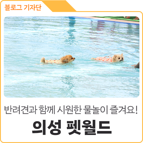 의성펫월드반려견목욕실