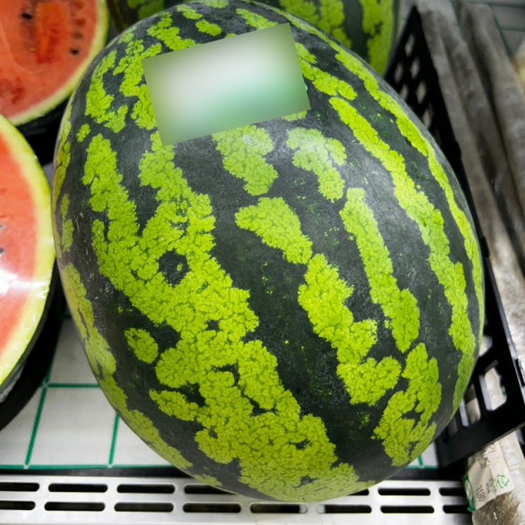  수박 고르는법 꼭지 배꼽 확인해서 맛있는 수박 구매