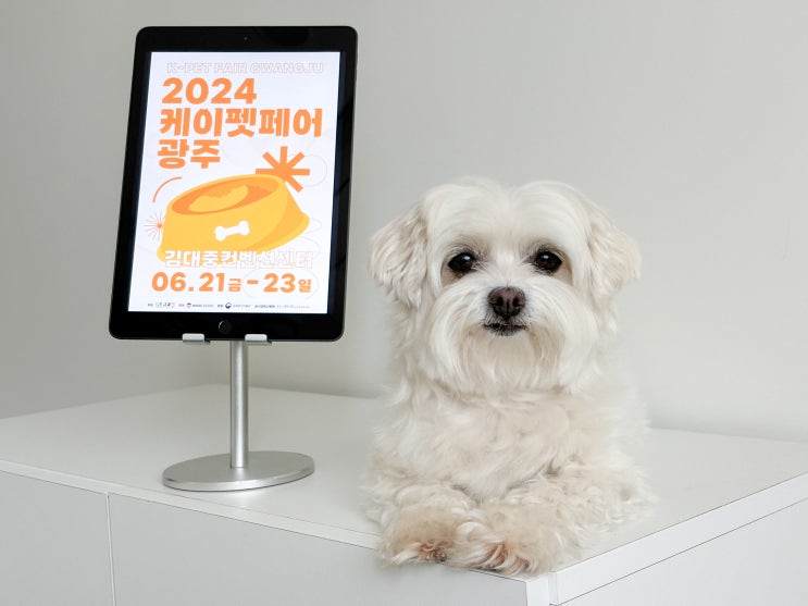  케이펫페어 광주 | 이벤트, 체험 클래스 소개 / 반려견 동반 가능한 광주 가볼만한곳 추천