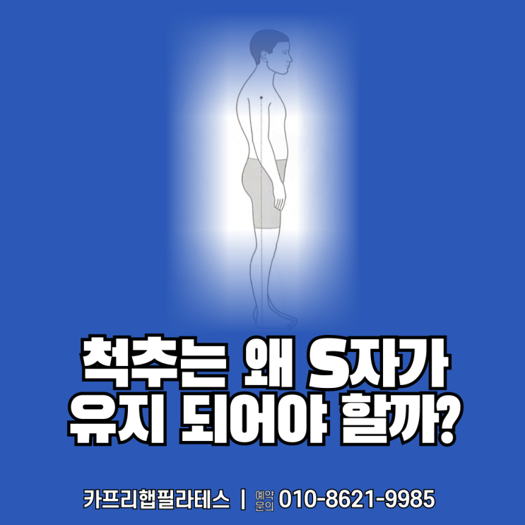  【약수역필라테스】 척추는 왜 S자가 유지되어야 할까?