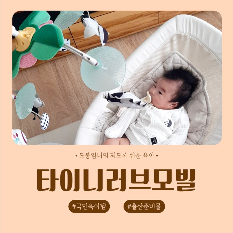  타이니러브모빌 시기 호환인형 건전지 모터 사용법 총정리