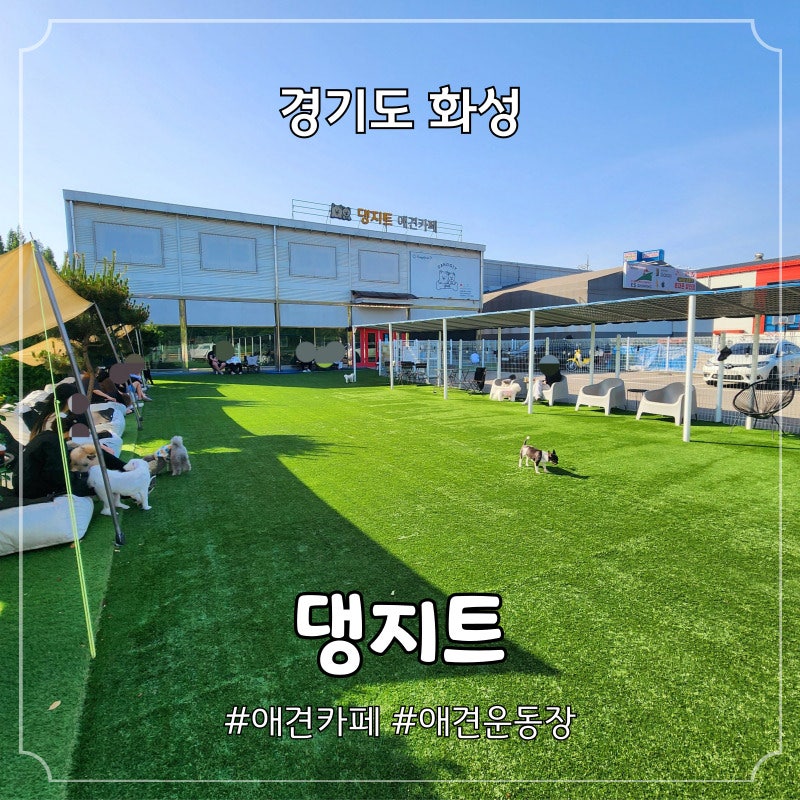 사진 4