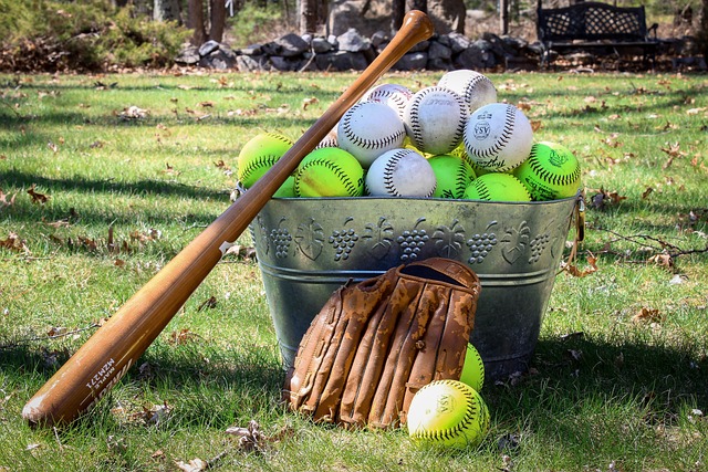 국제기념일, <b>세계</b> <b>소프트볼</b>의 날 World Softball Day, 6월... 