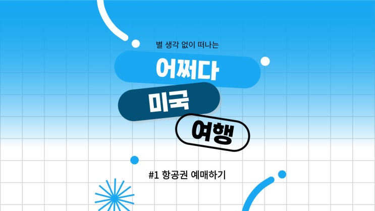  [미국 서부 여행]#1 LA 에어프레미아 특가 취소표, 사우스웨스트 미국 국내선 예약