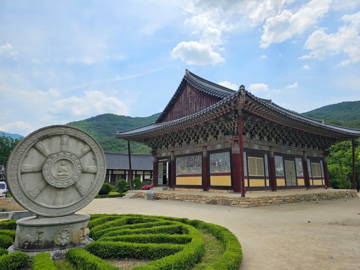  대구 근교 가볼만한곳 - '청도 운문사' 걷기 좋은 소나무 숲길 후기