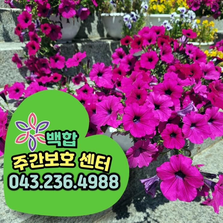  청주주간보호센터 따뜻한 환영과 함께 새로 입소하신 어르신의 하루