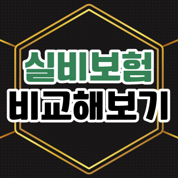 메리츠화재 실비보험 가입 해야 하는 이유