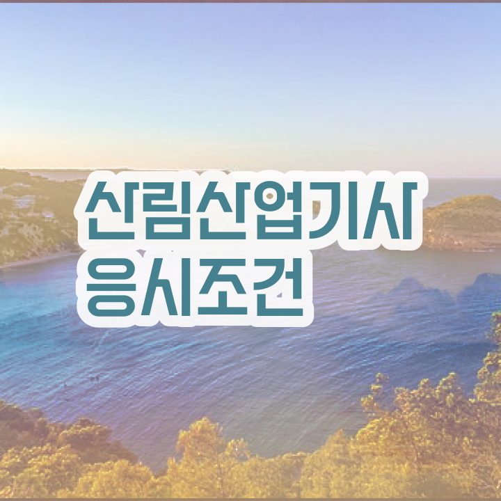  산림산업기사 필답 산림산업기사 응시조건 온라인 수업으로 간편하게 끝낸 과정