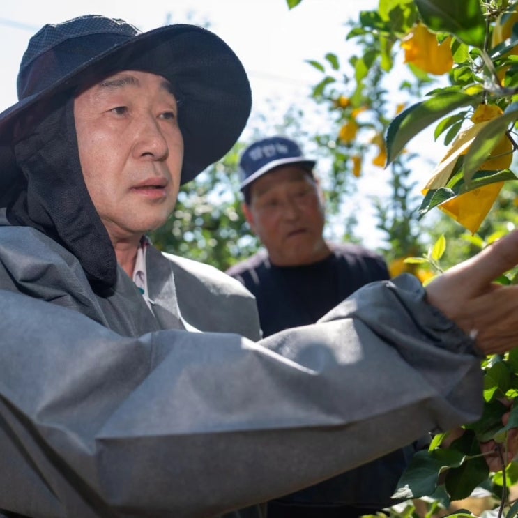  이재영 증평군수, 과수화상병 대응 현장 점검
