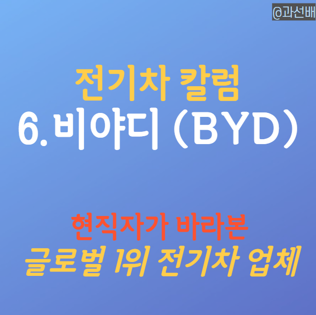  현직자가 바라본 비야디(BYD) 주가 전망 (ft. 전기차 1위)