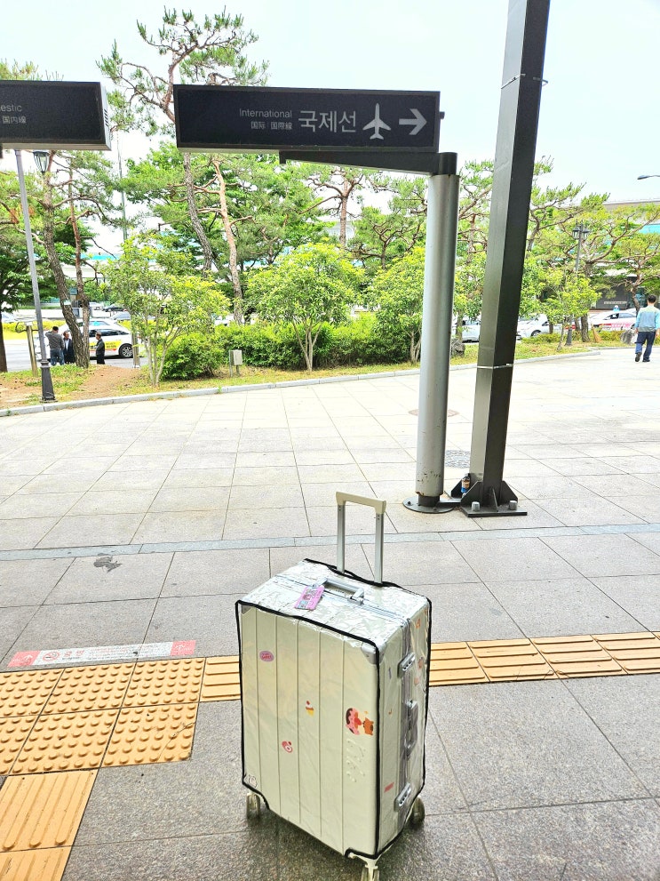 여행필수품 키코 더뉴스마트다소니 28인치 캐리어 이용후기 여행필수품 키코 더뉴스마트다소니 28인치 캐리어 이용후기