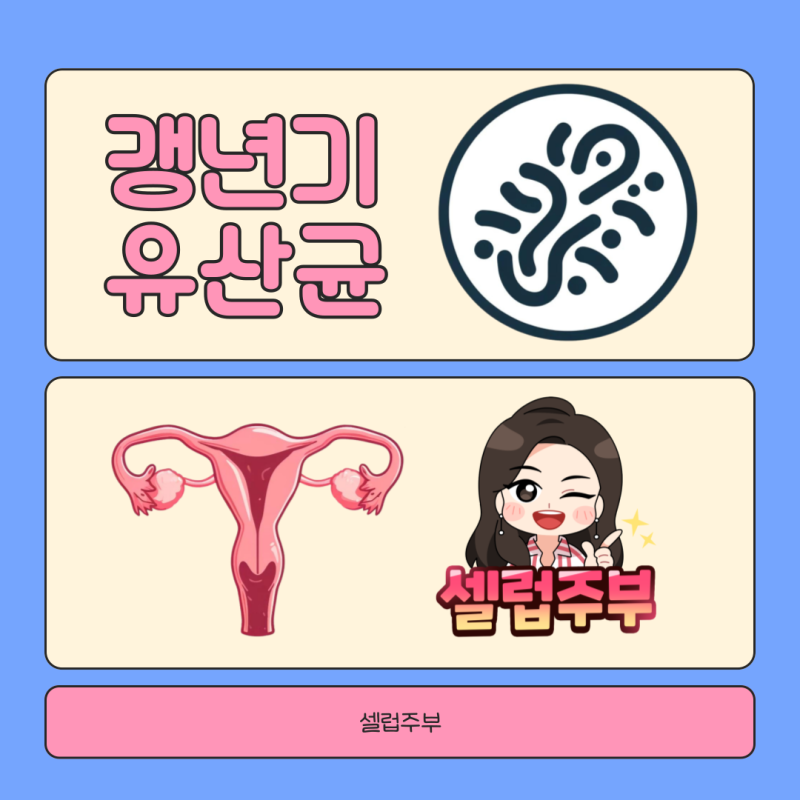여성 갱년기유산균 YT1추천 갱년기에좋은영양제.