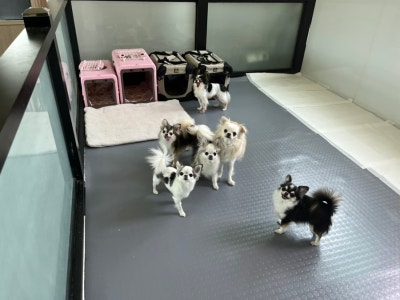 사진 5