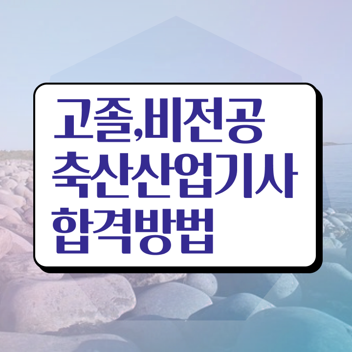  축산산업기사 시험응시조건 온라인 과정으로 쉽고 빠르게 완료한 팁