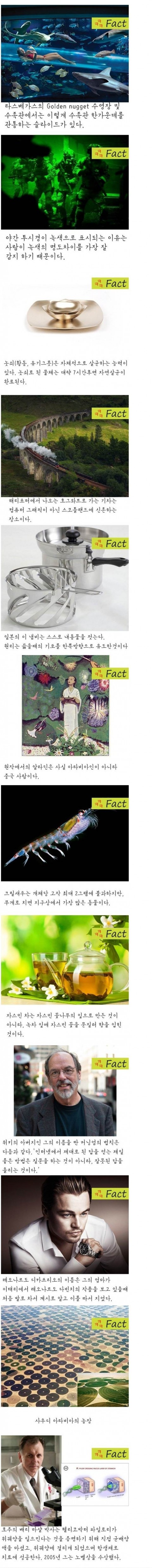  재미있는 팩트