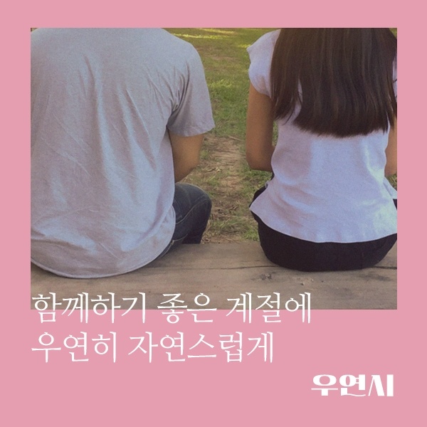  사계절을 함께 보내고 싶은 사람 우연한 인연을 찾아드려요