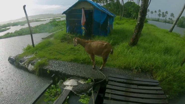  자동차정비산업기사 필기책 자동차정비산업기사 자격요건 독학으로 15주 동안 준비한 노하우
