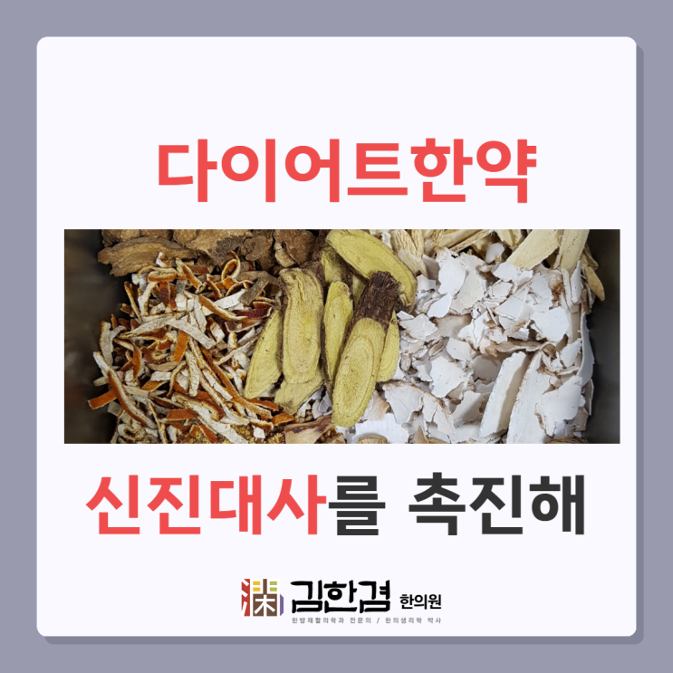 정자역다이어트한의원 맞춤 처방의 중요성