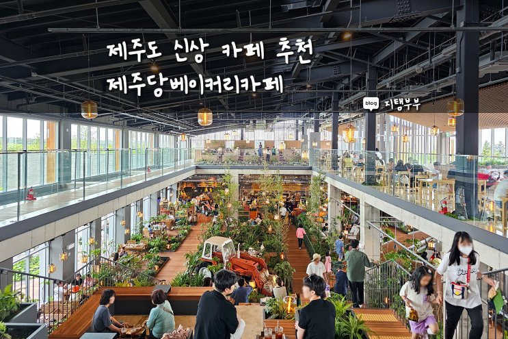  제주도 서쪽 신상 카페 제주당 베이커리 카페 애월읍 새별오름 이달오름 볼 수 있는 초대형 감성카페 핫플레이스 추천