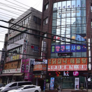  안양예술공원 맛집 춘천닭갈낙 30년 넘은 닭갈비 맛집