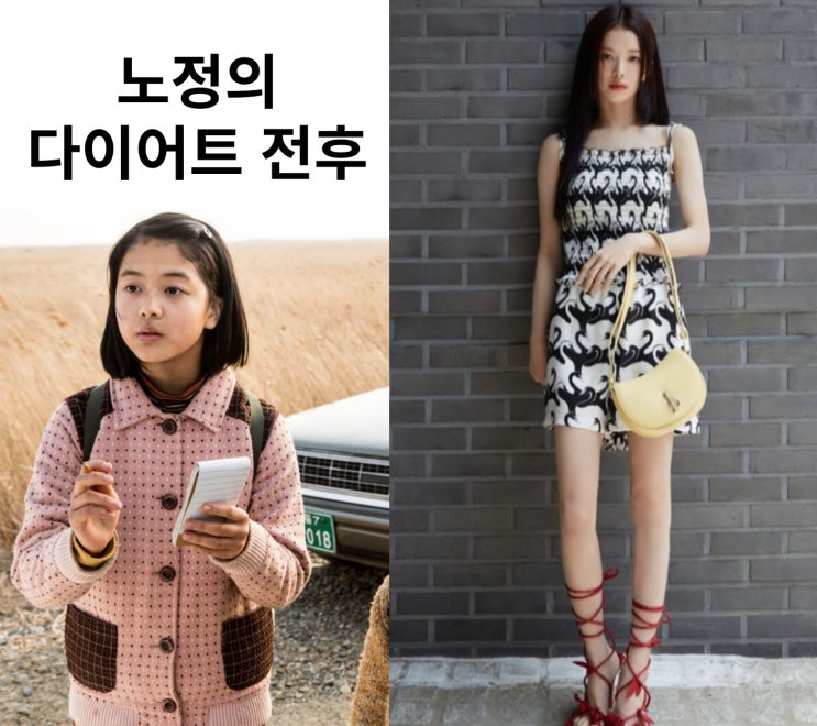  노정의 다이어트 전 후 체지방률 5.7kg 비법 따라해 볼까요