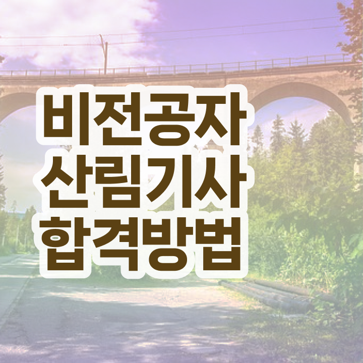  산림기사 자격증 산림기사 취득자격 온라인 과정으로 15주만에 준비한 노하우