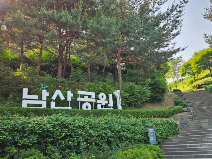  24년 6.6km 걷기대회(해비타트)
