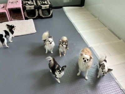 사진 6