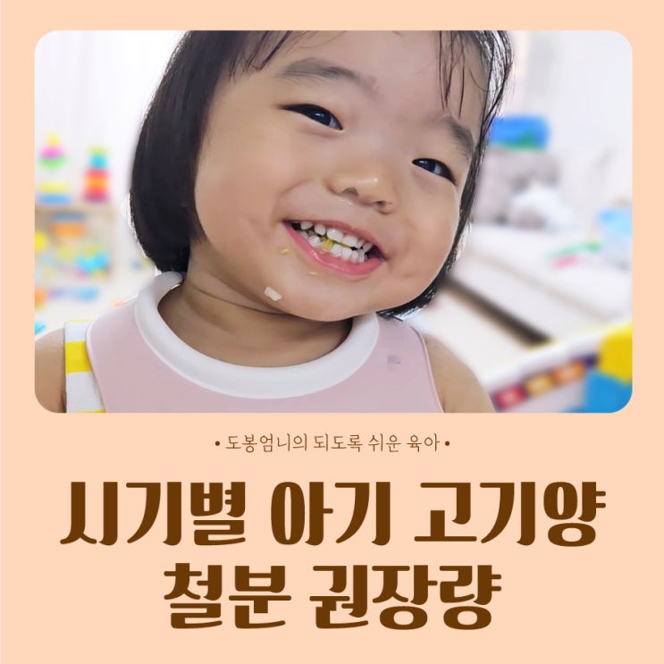  돌아기 고기양 시기별 소고기 섭취량 철분 권장량 주의사항