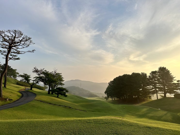  은화삼cc, 골프 8학군 용인 고난도 회원제 골프장 여름 라운드 후기
