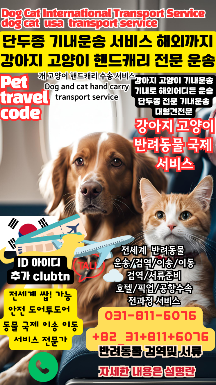  단두종 탑승금지시 강아지 고양이 기내운송 핸드캐리어 운송 핸디캐리어운송 서비스 해외현지까지 안전하게 펫핸들러가 데려가줍니다 전문가와 함께하세요!!Dog and cat hand