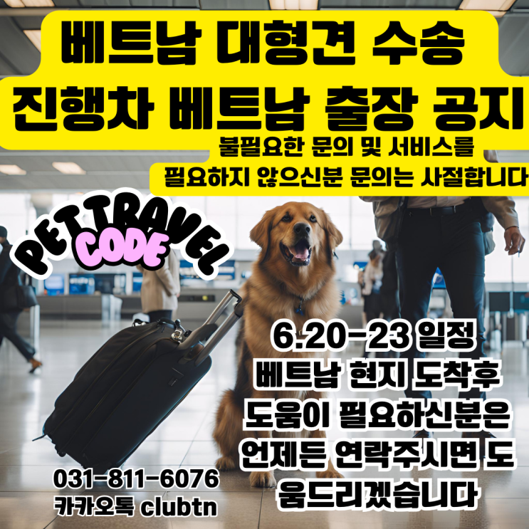  대형견 라브라도 리트리버 골든 리트리버 강아지 큰강아지 무게 40kg 50kg 해외운송 국제운송 수송 이송 이동 출국 수하물 카고 서비스 반려동물 핸드캐리 운송 서비스