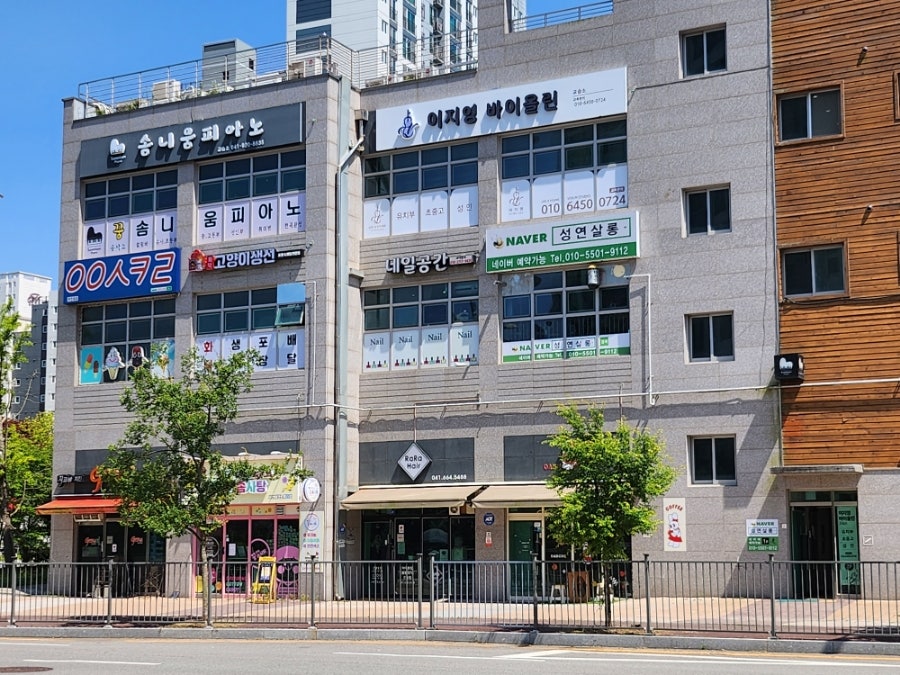 이지영바이올린교습소 사진 3