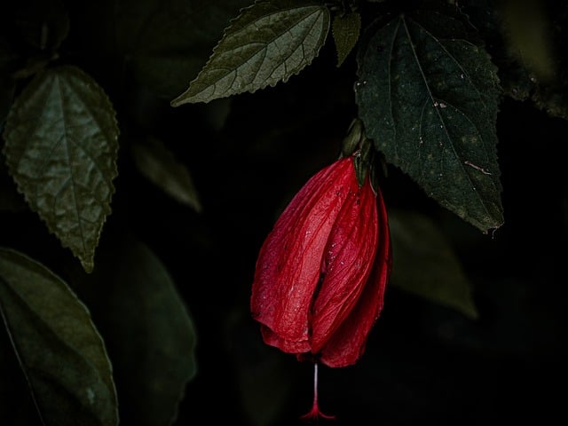 화룡짬뽕 관양점 사진 6