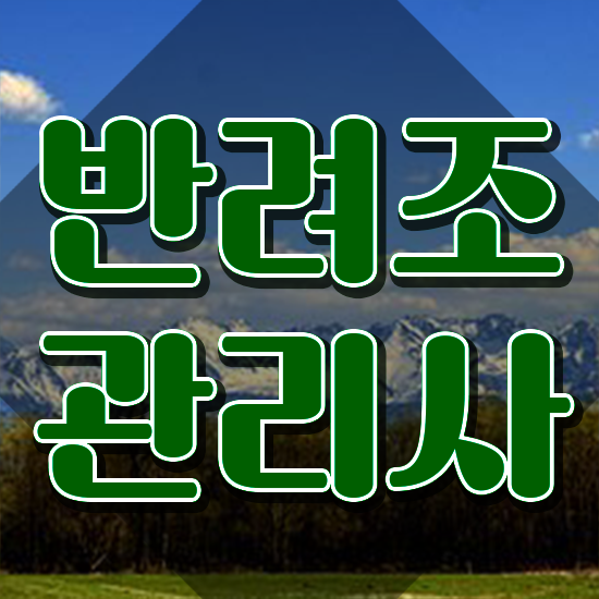  아마존 앵무새 종류 , 반려조관리사 자격증 응시자격 없이 취득한 노하우 , 구직정보