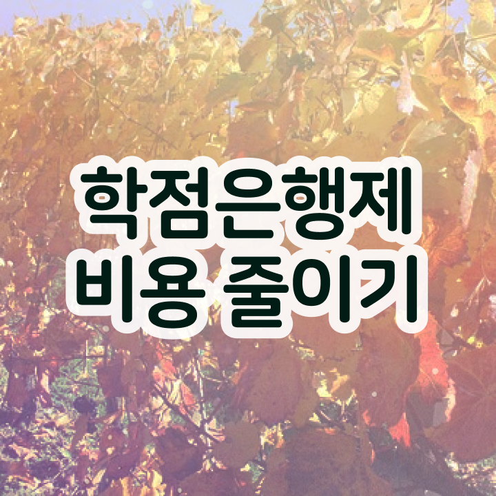  학점은행제 교육기관 학점은행제 학위 경력없는 사람도 인강으로 학점따서 쉽고 빠르게 준비하는 노하우