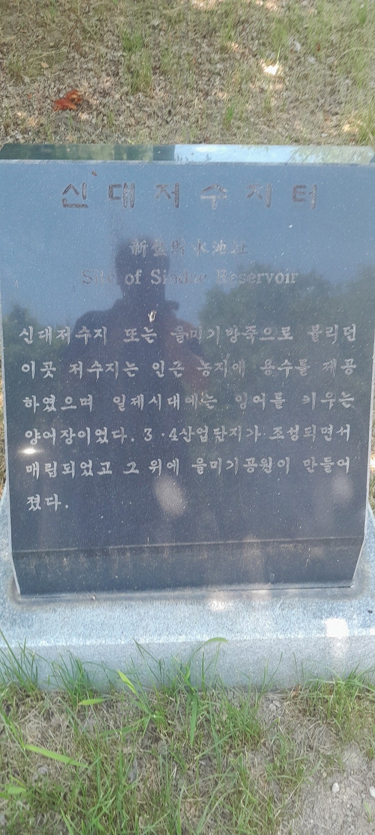 손푸드 사진 5