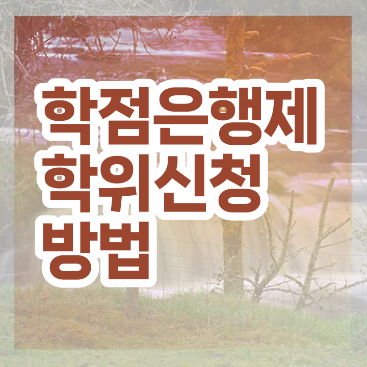  학점은행제 과제 학점은행제 학위 관련학과 졸업장, 경력없어도 쉽게 준비한 후기