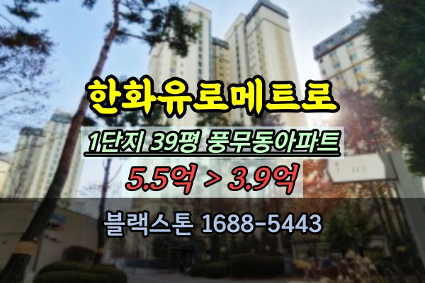  풍무동아파트 경매 한화유로메트로 1단지 39평 추천