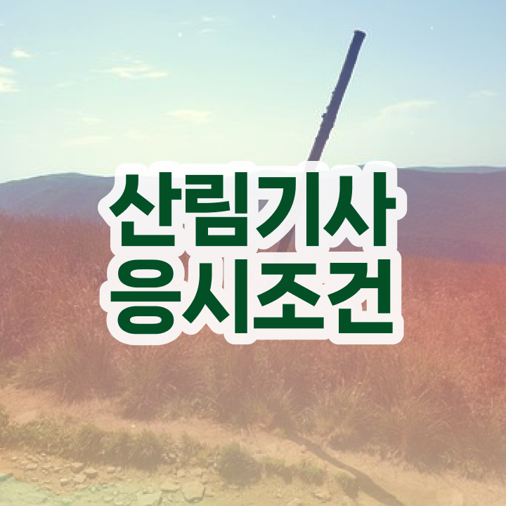  산림기사 필기 시간 산림기사 시험응시자격 독학으로 편하게 성공한 방법